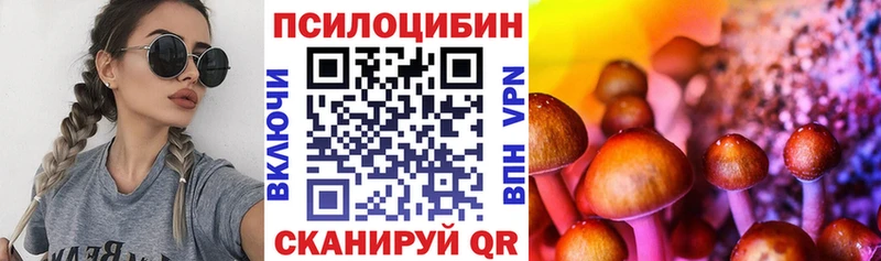 блэк спрут ONION  shop состав  Псилоцибиновые грибы GOLDEN TEACHER  Дигора 