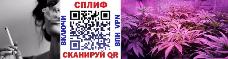 Каннабис Bruce Banner  Дигора 